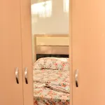 Summer Apartments Shengjin